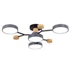 Светильник потолочный Evoluce Faema SLE6006-702-04