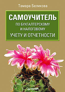 Самоучитель по бухгалтерскому и налоговому учету и отчетности