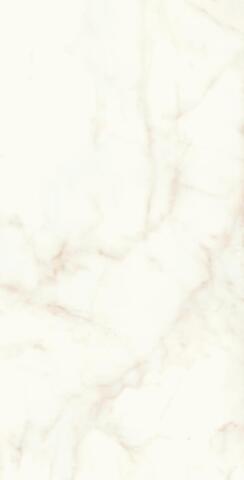 Atlas Concorde Marvel Shine Calacatta Delicato Silk 75x150