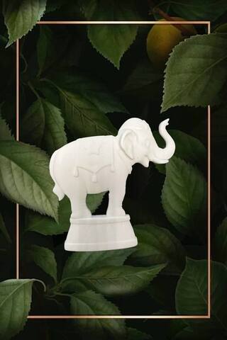 Отливка НШ 834 (8*8см )