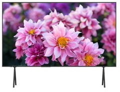 Панель LCD EliteBoard LC-110US3