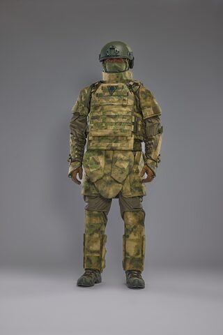 Бронежилет ВОЕВОДА 14/23 БМДШ+ Варяг Мох