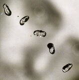 GABRIEL, PETER: Up (Компакт-диск)