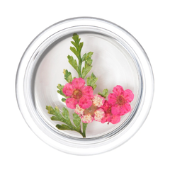 Irisk Сухоцветы в баночке (103)