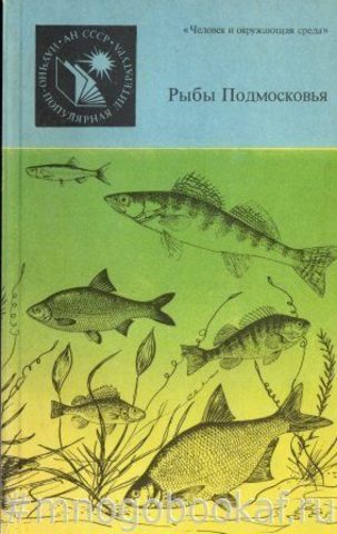 Рыбы Подмосковья