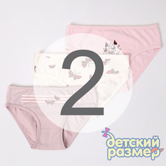 2 (3-4 года)