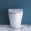 Унитаз безободковый приставной BelBagno SFERA-R BB2141CBR