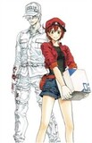 VARIOUS: Cells At Work! Manga Box Set