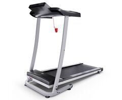 Беговая дорожка DFC Blues T-113G