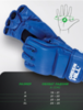 Перчатки для боевого самбо Green Hill FIAS синие