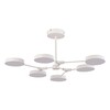 Светильник потолочный Evoluce Monta SLE6003-502-06