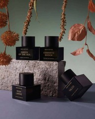 New Notes Osmanto Shock