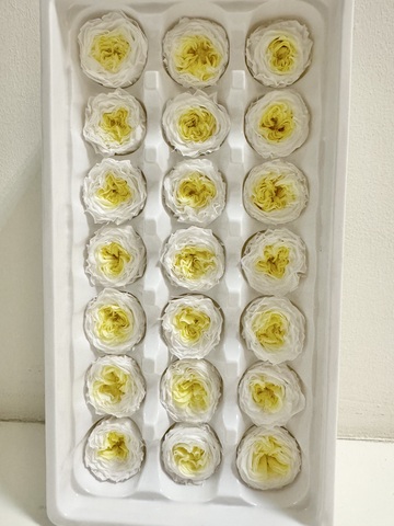 Роза пионовидная 2-3 см Белая с желтым дыханием (половина коробки-10шт)