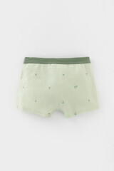 трусы/ уп  для мальчика  К 1980-2уп/папоротник,морская пена