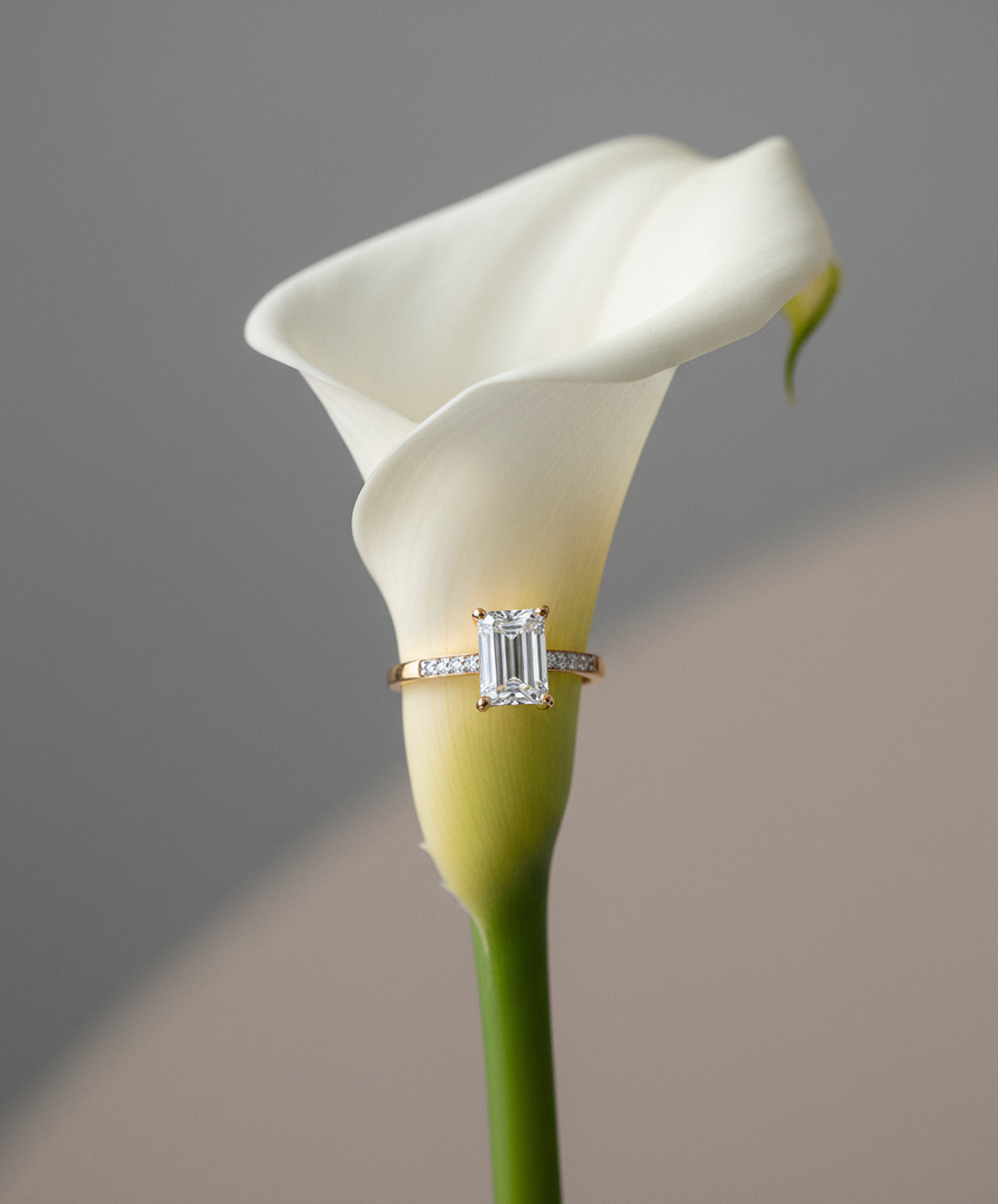 Кольцо из золота с фианитом, 019570