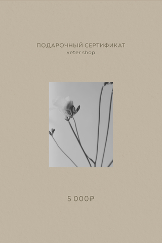 Подарочный сертификат на 5,000 рублей