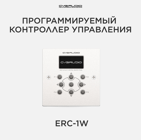 CVGAUDIO ERC-1W Настенный программируемый контроллер управления, TCP/IP, RS485, питание PoE, OLED дисплей, цвет светлый алюминий