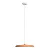 Подвесной светильник Loft It Plato 10119 Orange