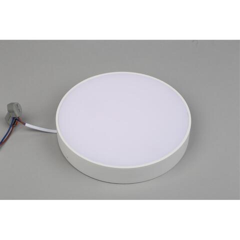 Потолочный светодиодный светильник Aployt Evon APL.0113.09.24