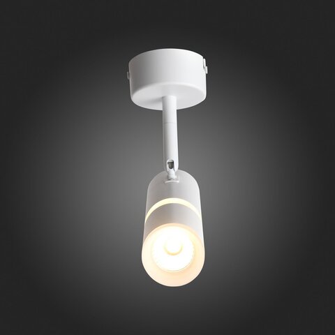 Светильник потолочный ST Luce ST106.502.08