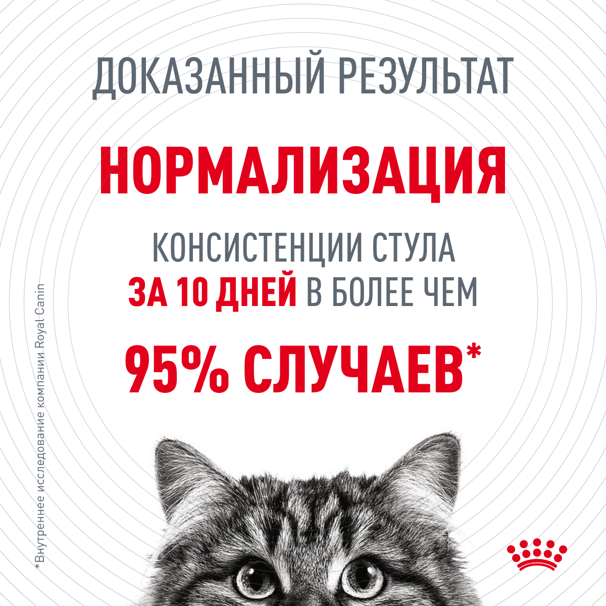 Пауч для кошек с чувствительным пищеварением, Royal Canin Digest Sensitive,  в возрасте старше 1 года (в соусе)