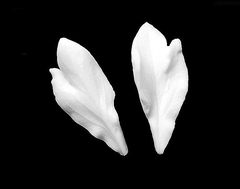 Силиконовый молд 