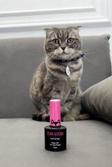 Гель-лак Prizma cat 04