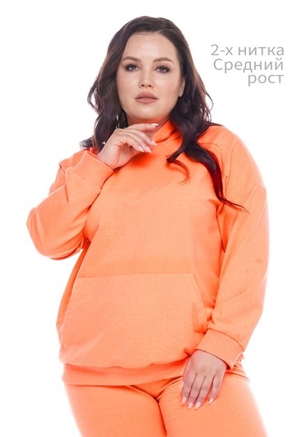 Худи-8355 950₽