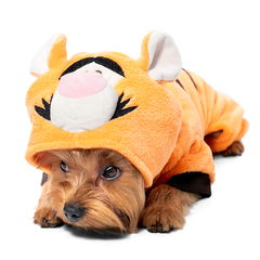 Triol костюм демисезонный Disney Fun Tigger S, размер 25см