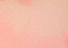 Фетр средней жесткости 2 мм, ш. 1 м, 215,4 гр/м2, кремовый