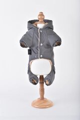 Royal Dog костюм светоотражающий 