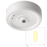 Потолочные светильники аварийного освещения для высоких помещений Moncato DP812 LED SOH