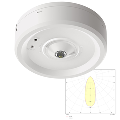 Потолочные светильники аварийного освещения для высоких помещений Moncato DP812 LED SOH
