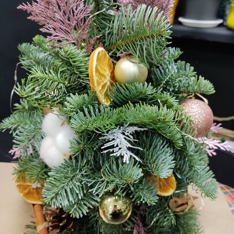 Ёлочка из нобилиса NWY006