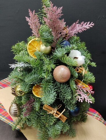 Ёлочка из нобилиса NWY006