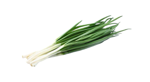 Лук Зеленый шт