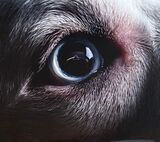 WATERS, ROGER: The Dark Side Of The Moon Redux (Компакт-диск)