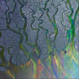 ALT-J: An Awesome Wave (Компакт-диск)