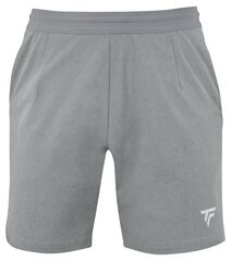 Теннисные шорты Tecnifibre Team Short - silver