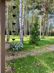 Дождевая цепь 