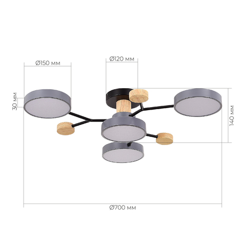 Светильник потолочный Evoluce Faema SLE6006-702-04