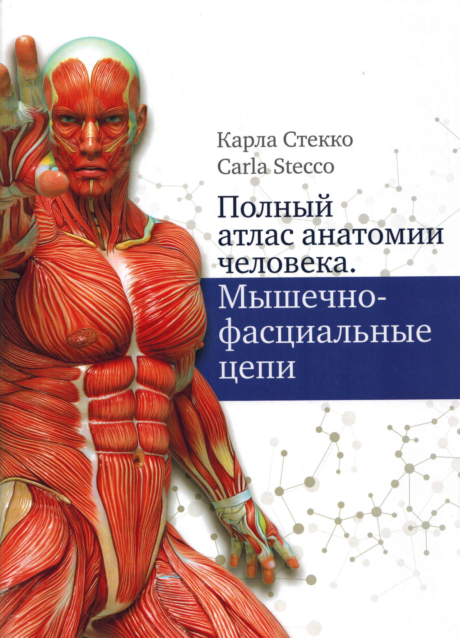 Новинки Полный атлас анатомии человека. Мышечно-фасциальные цепи polnii_atlas.jpg