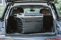 Компрессорный автохолодильник Alpicool TSW60 (Однокамерный, 12/24/110/220V, 60л)