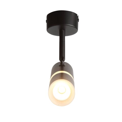 Светильник потолочный ST Luce ST106.402.08