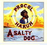 A SALTY DOG: REMASTERED EDITION