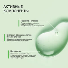 Limba Cosmetics Шампунь для жирной кожи головы DETOX OILY HAIR CLEANSING SHAMPOO ,300мл (lmb18)