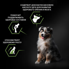 Pro Plan сухой корм для щенков (курица, рис) 3 кг