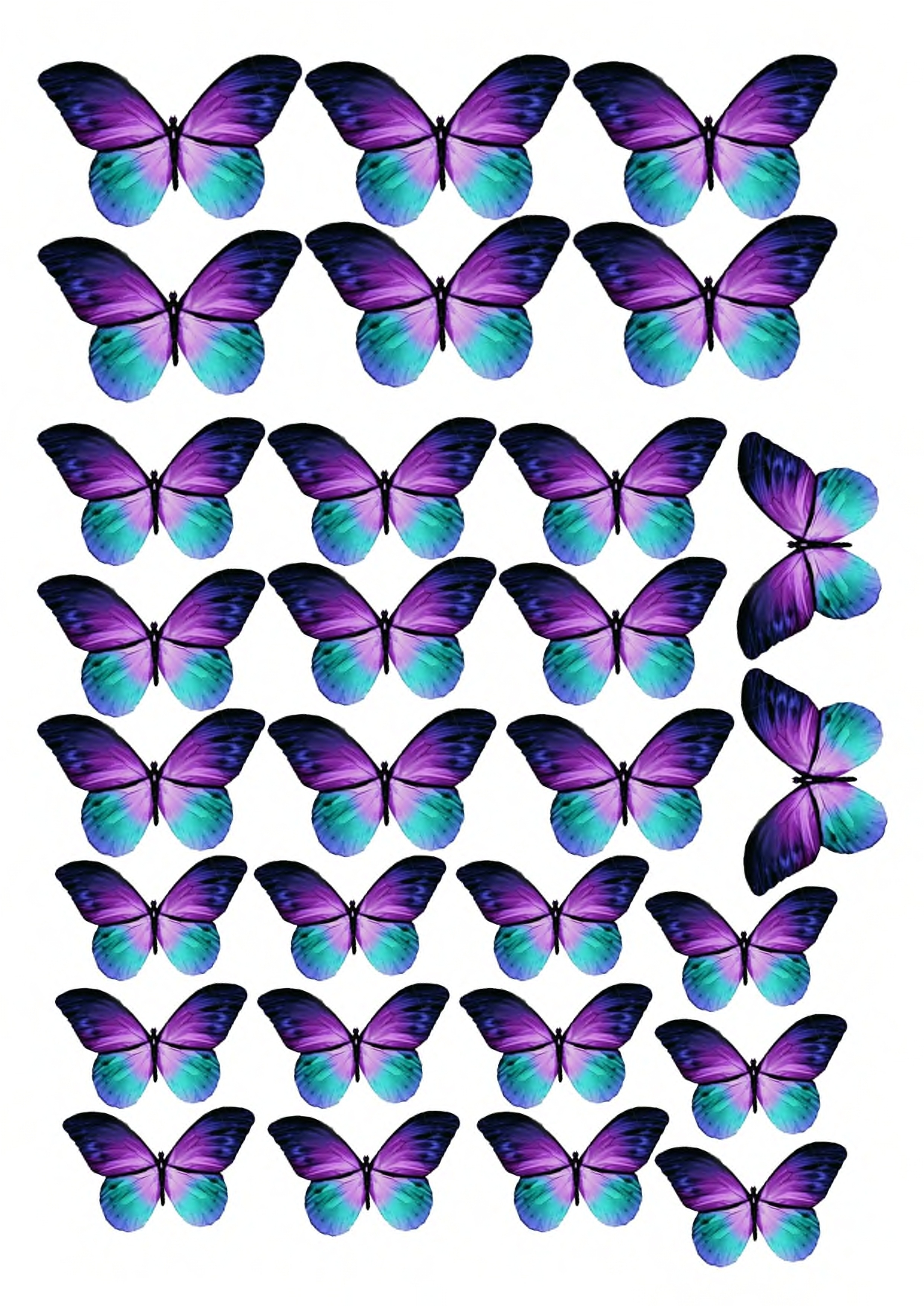 Красивые бабочки картинки для детей