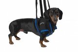 Вожжи для собак KRUUSE Walkabout harness на передние конечности M