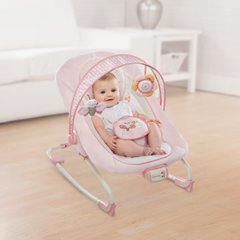 Bright Starts InGenuity Кресло-качалка 